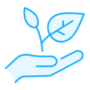 Team with work experience of more than 10 years