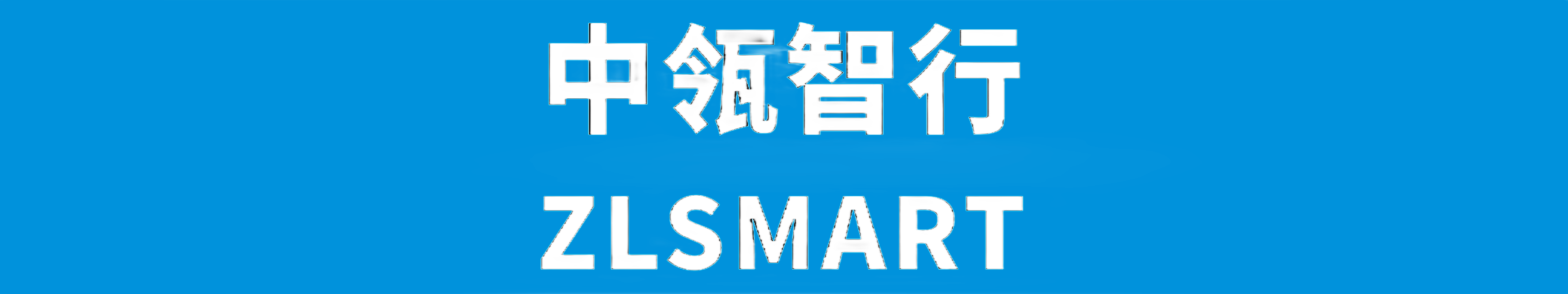 中领智行 ZLSMART